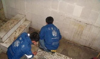 番禺區(qū)廠(chǎng)房屋面防水補(bǔ)漏，專(zhuān)業(yè)公司是保障生產(chǎn)的明智選擇